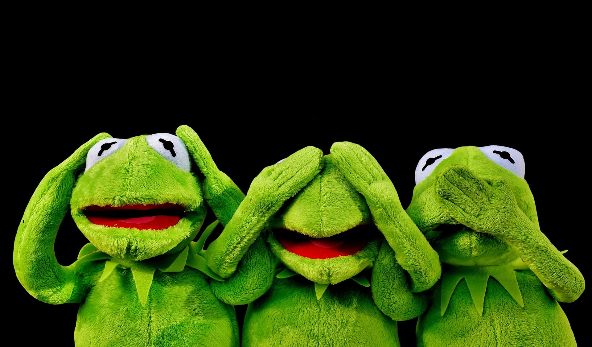 Eat the Frog, Dagnabit - Bryan K. Johnston